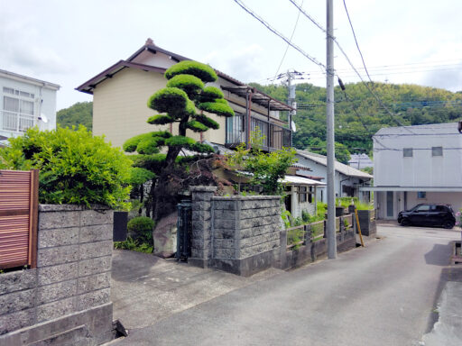 サムネイル5